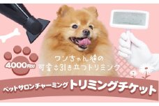 トリミング チケット 4,000円分 犬 ペットサロンチャーミング《30日以内に出荷予定(土日祝除く)》千葉県 流山市 ペット 愛犬 ワンちゃん お手入れ 健康 体験 st-p