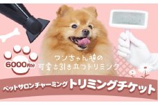 トリミング チケット 6000円分 犬 ペットサロンチャーミング《30日以内に出荷予定(土日祝除く)》千葉県 流山市 ペット 愛犬 ワンちゃん お手入れ 健康 体験 st-p