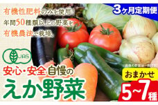 【毎月定期便３回】えか野菜 おまかせ5～7種セット 有機JAS認定 株式会社えか自然農場 千葉県 流山市 オーガニック 無農薬 化学肥料不使用 旬 送料無料