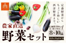 野菜 農家直送 新鮮 野菜 セット ミディアムサイズ 8～10品 《60日以内に出荷予定(土日祝除く)》 森田農園 青果物 やさい 千葉県 流山市