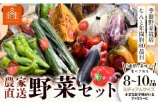 野菜 農家直送 新鮮 野菜 セット ミディアムサイズ 8～10品 《30日以内に出荷予定(土日祝除く)》 森田農園 青果物 やさい 千葉県 流山市