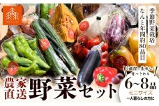 野菜 農家直送 新鮮 野菜 セット ミニサイズ 6～8品 《30日以内に出荷予定(土日祝除く)》 森田農園 青果物 やさい 千葉県 流山市