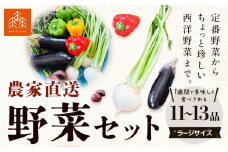 野菜 農家直送 新鮮 野菜 セット ラージサイズ 11～13品 《60日以内に出荷予定(土日祝除く)》 森田農園 青果物 やさい 千葉県 流山市