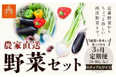 野菜 農家直送 新鮮 野菜 セット 3ヵ月 定期便 ミディアムサイズ 8～10品 ×3回《お申し込み月の翌月から出荷開始》 森田農園 青果物 やさい 千葉県 流山市 定期便