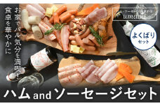 ハム ソーセージ  よくばり セット 容量 11~14点程 豚肉 ハム ソーセージ ウィンナー 加工品 燻製 福袋 Umami お中元 おつまみ st-p