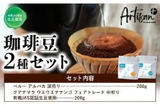 有機JAS認証生豆使用 珈琲豆２種セット（ペルー・グアテマラ）Artisan＋《30日以内に出荷予定(土日祝除く)》珈琲豆 挽き豆 コーヒー 飲み比べ ギフト プレゼント カフェ 千葉県 流山市 送料無料 st-p