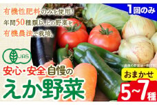 えか野菜 おまかせ5～7種セット 有機JAS認定 株式会社えか自然農場《30日以内に出荷予定(土日祝除く)》千葉県 流山市 オーガニック 無農薬 化学肥料不使用 旬 送料無料