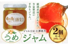 ジャム うめジャム 2個 180g × 2個  豊年楽市有限会社《30日以内に出荷予定(土日祝除く)》千葉県 流山市 パン うめ