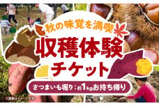 収穫体験 チケット さつまいも掘り 約1kgお持ち帰り 有限会社水野果樹園《90日以内に出荷予定(土日祝除く)》千葉県 流山市 収穫 体験 サツマイモ 体験 野菜