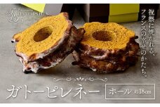 ガトーピレネー ホール パティスリーレタンプリュス《30日以内に出荷予定(土日祝除く)》千葉県 流山市 高級 ブランド お取り寄せ フランス菓子 茶菓 お中元 お菓子 焼き菓子 レタンプリュス