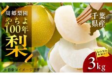 2025年発送先行受付 周郷梨園のやちよ100年梨(3kg)【1493887】