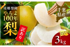 2025年発送先行受付 周郷梨園のやちよ100年梨家庭用(3kg)【1493890】