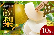 2025年発送先行受付 周郷梨園のやちよ100年梨(10kg)【1493889】