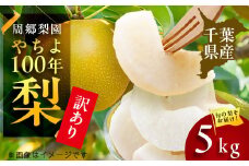 2025年発送先行受付 周郷梨園のやちよ100年梨家庭用(5kg)【1493891】