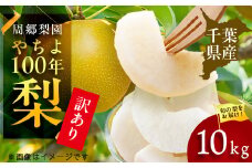 2025年発送先行受付 周郷梨園のやちよ100年梨家庭用(10kg)【1493893】