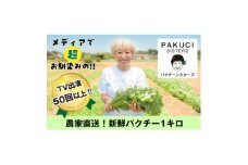 『PAKUCI SISTERS』の新鮮パクチー 1kg【1497692】
