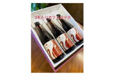 きたみcoffeeのおうちで本格ラテ♪ カフェラテベース(カフェ・ロマネ)無糖3本セット【1498912】