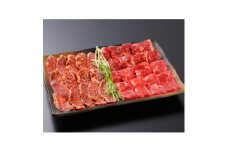 焼肉赤門 勝田台店 「赤盛」1000gお食事券【1492825】