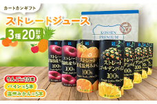 カートカンギフト20本入り3種(りんご・パイン・温州みかん)ストレートジュース【1512058】