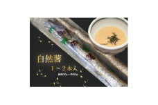 ＜12月より順次発送＞自然薯 1～2本入り(約800g～900g)【1551579】