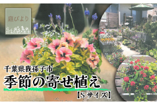 届いてすぐに飾れる 季節の寄せ植え Sサイズ