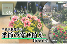 届いてすぐに飾れる 季節の寄せ植え Ｍサイズ