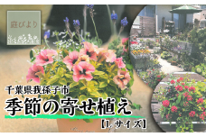 届いてすぐに飾れる 季節の寄せ植え Lサイズ