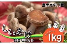 肉厚 軸太 しいたけ詰め合わせセット 生しいたけ3種 1kg 乾燥しいたけ2種 各30g
