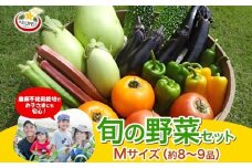 旬の野菜セット Mサイズ 約8~9品 季節の野菜 野菜 詰合せ 農薬不使用 新鮮 鮮度 産地直送 農業 土 料理 甘い 美味しい 採れたて トマト 新玉ねぎ じゃがいも キャベツ 白菜 お取り寄せ 春 夏 秋 冬 ベジライフ 千葉県我孫子市