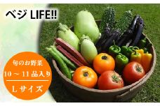 新鮮 旬の野菜セットLサイズ (約10~11品)