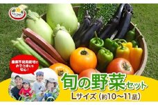 旬の野菜セット Lサイズ 約10~11品 季節の野菜 野菜 詰合せ 農薬不使用 新鮮 鮮度 産地直送 農業 土 料理 甘い 美味しい 採れたて トマト 新玉ねぎ じゃがいも キャベツ 白菜 お取り寄せ 春 夏 秋 冬 ベジライフ 千葉県我孫子市