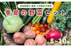 旬 季節の野菜セット (8~10種)