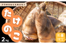 アクが少なくて大ぶり！我孫子市産 たけのこ 2kg
