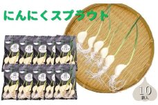 にんにくスプラウト10袋セット　野菜 ガーリック スプラウト 栄養 料理 詰め合わせ 