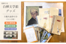 白樺文学館グッズ 5点 & 3館共通券セット 絵葉書 一筆箋 封筒 便箋 等