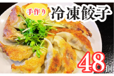 手作り冷凍餃子48個入り