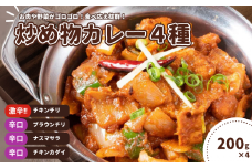 インドカレー 炒め物カレー4種セット