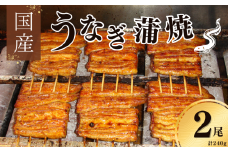 鰻 国産 鰻蒲焼 約120g×2パック たれ 山椒付
