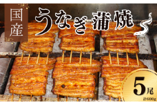鰻 国産 鰻蒲焼 約120g×5パック たれ 山椒付