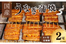 【毎月定期便6回】鰻 国産 鰻蒲焼 約120g×2パック たれ 山椒付