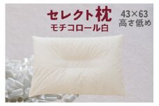 セレクト枕 モチコロール白 中央くぼみタイプ 高さ低め （43×63cm）