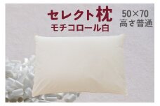 セレクト枕 モチコロール白 標準タイプ 高さ普通 （50×70cm）