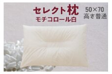 セレクト枕 モチコロール白 中央くぼみタイプ 高さ普通 （50×70cm）