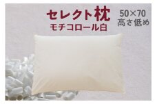 セレクト枕 モチコロール白 標準タイプ 高さ低め（50×70cm）