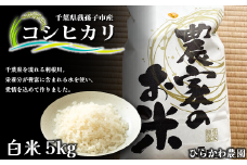 10月30日以降出荷予定。無くなり次第終了！【ひらかわ農園】EM菌で作った旨味たっぷりのお米・コシヒカリ・精米5kg