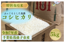 千葉県　我孫子市産　精米　コシヒカリ　5ｋｇ