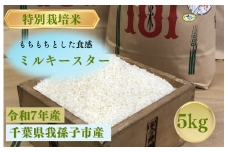 千葉県　我孫子市産　精米　ミルキースター　5ｋｇ
