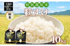 農家直送 千葉県産 特別栽培米 粒すけ 10kg 5kg×2 精米 米 白米 ごはん お米 ライス ブランド米 ご飯 和食 お弁当 おにぎり 甘い 国産 コメ おかず お取り寄せ 送料無料 千葉県 我孫子市