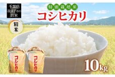 農家直送 千葉県産 特別栽培米 こしひかり 10kg 5kg×2 精米 米 白米 ごはん お米 ライス ブランド米 ご飯 和食 お弁当 おにぎり 甘い 国産 コメ おかず お取り寄せ 送料無料 千葉県 我孫子市