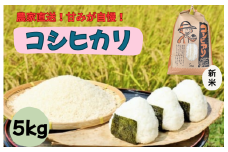 千葉・我孫子の農家直送！ふっくら甘み自慢の新米コシヒカリ5kg